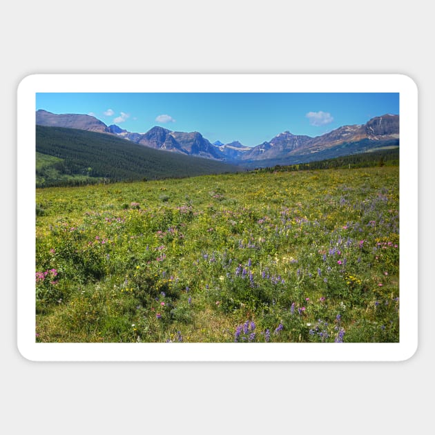 Glacier National Park Wild Flowers Sticker by StonePics